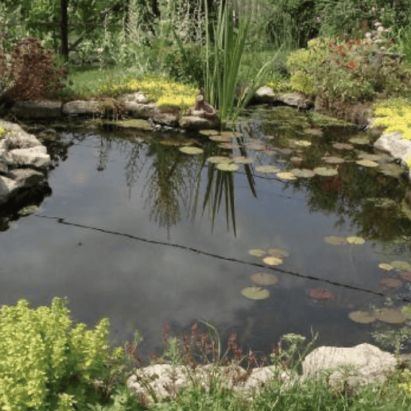 Space Bassin - Bassin d'extérieur